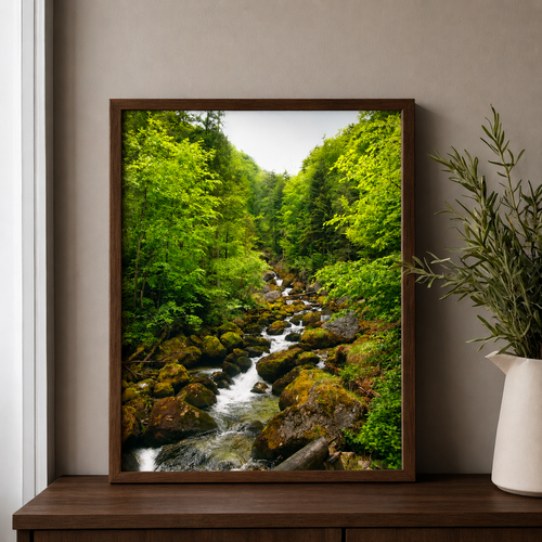 The Alps Forest Cascade